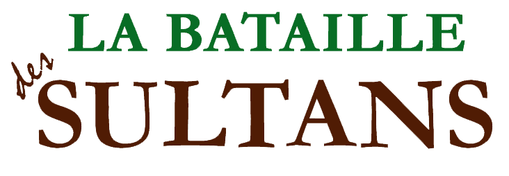 La Bataille des Sultans